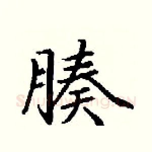 腠
