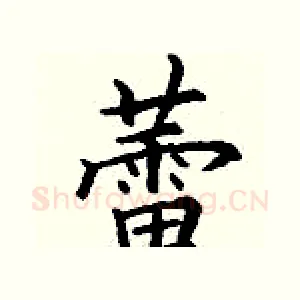 蕾
