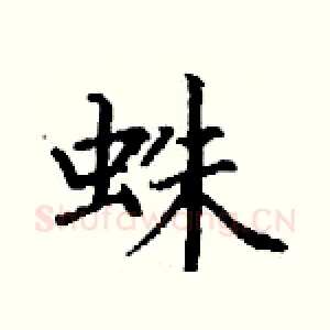 蛛