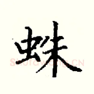 蛛