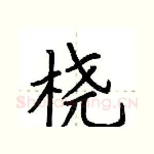 桡