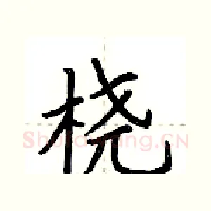 桡