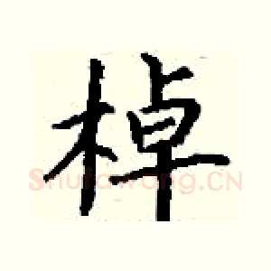 棹