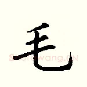 毛
