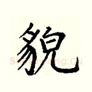 貌