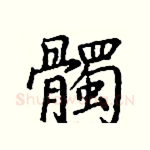髑