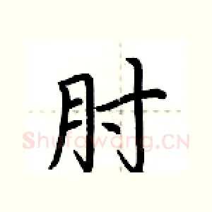 肘