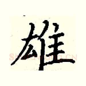 雄