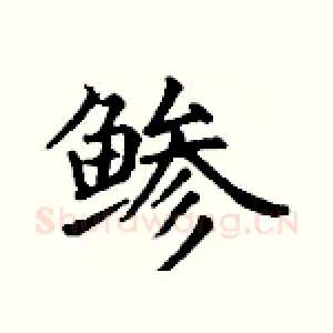鲹