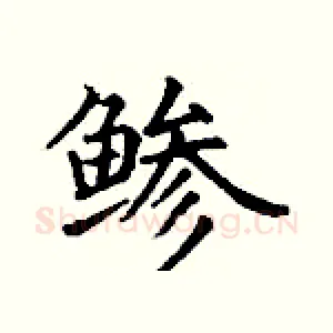 鲹