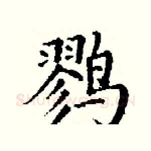 鹨