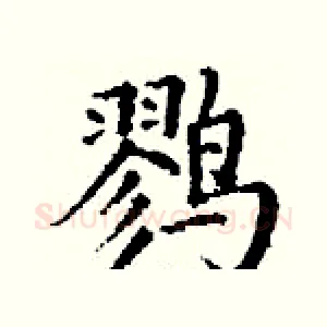 鹨