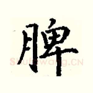 脾