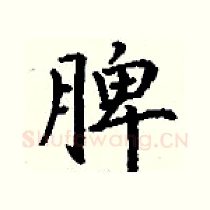 脾
