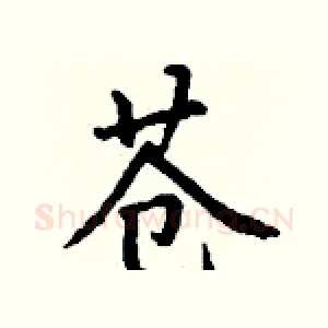 苍