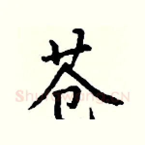 苍