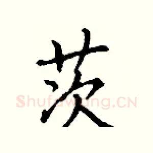 茨