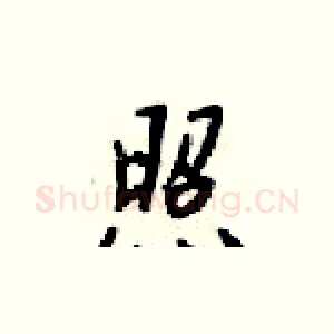 照