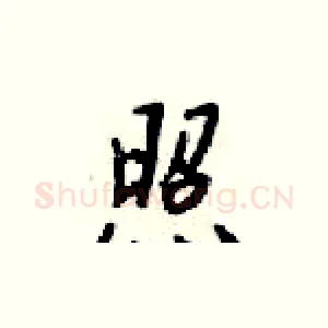 照