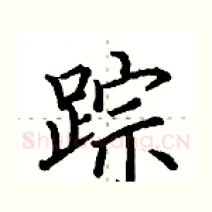 踪