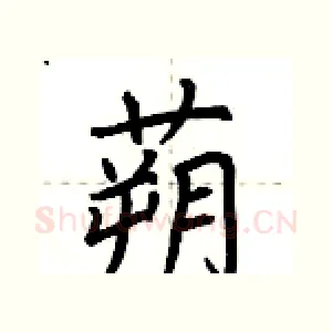 蒴