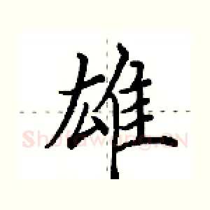 雄