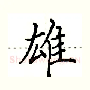雄