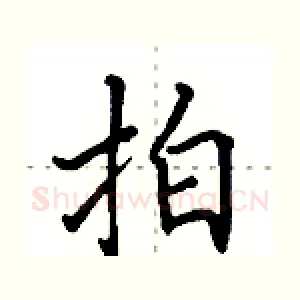 拍