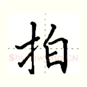 拍