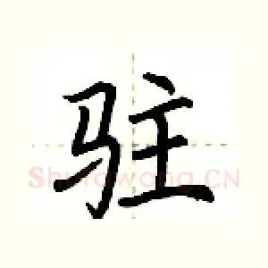驻