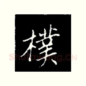 朴