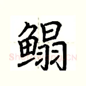 鳎