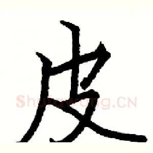 皮