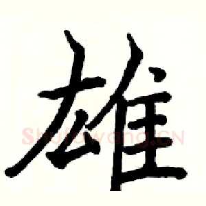 雄