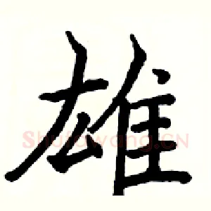 雄