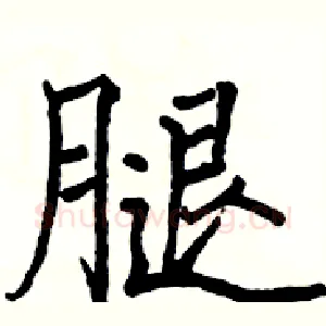 腿