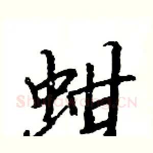 蚶