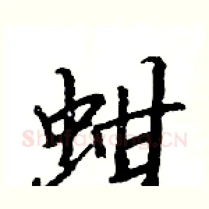 蚶