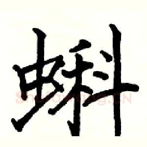 蝌