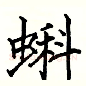 蝌