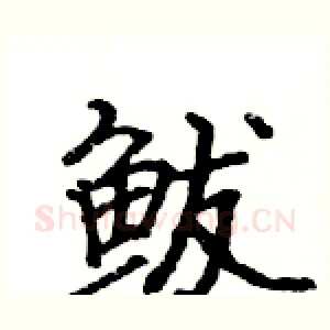 鲅