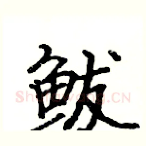 鲅