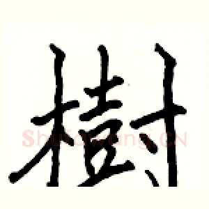 樹