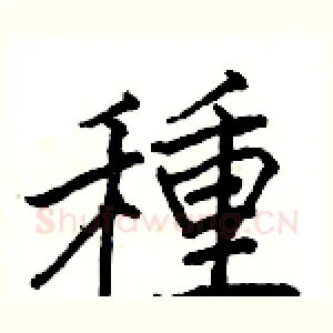 種