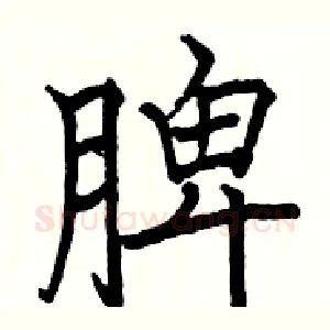 脾