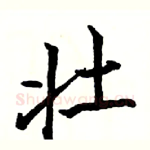 壮