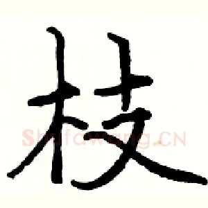 枝