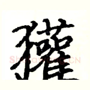 獾