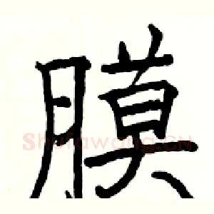 膜