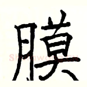 膜